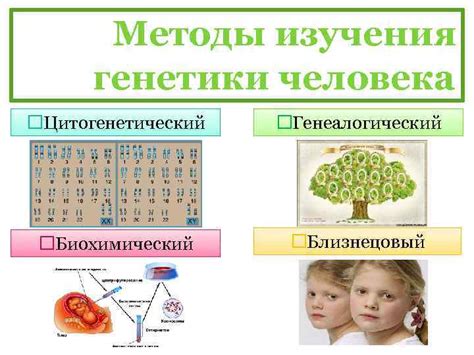 Роль генетики в формировании сексуальной ориентации