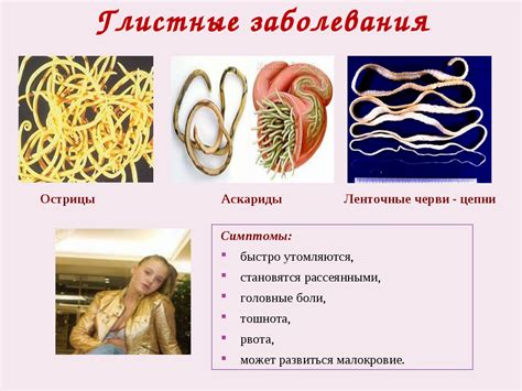Роль глистов в организме