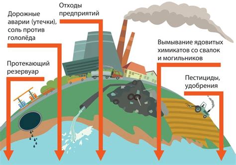 Роль естественных ресурсов в миграции скворцов