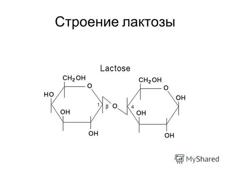 Роль лактозы в прокислении
