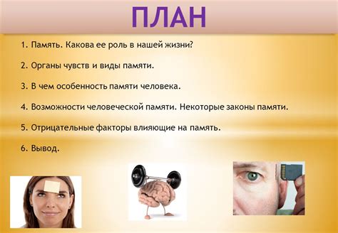 Роль нашей памяти