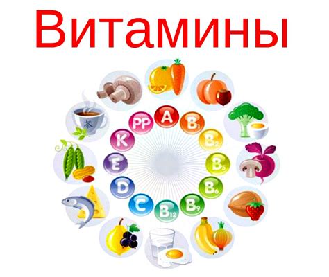Роль недостатка питательных веществ в поведении кошки: