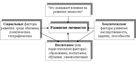 Роль образования и развитие личности