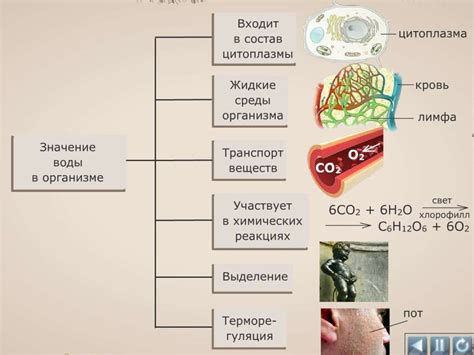 Роль окружающей среды во взаимодействии организмов