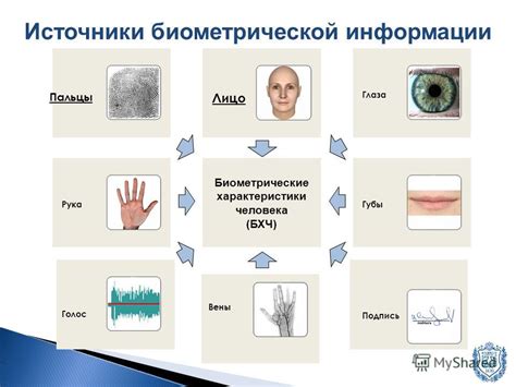 Роль паспорта в идентификации личности