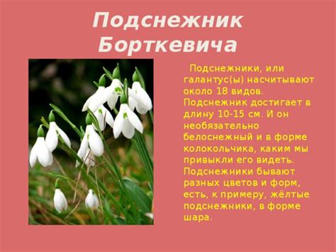 Роль подснежника в Красной книге России