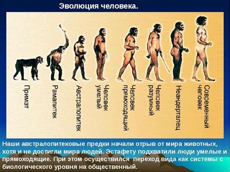 Роль проталин в эволюции человечества