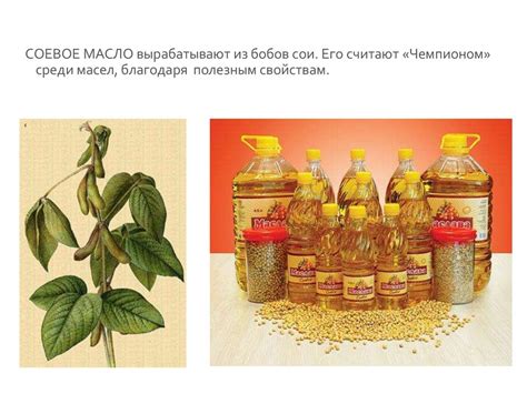 Роль растительного масла в древнерусской кулинарии