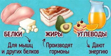 Роль сала в рационе при химиотерапии