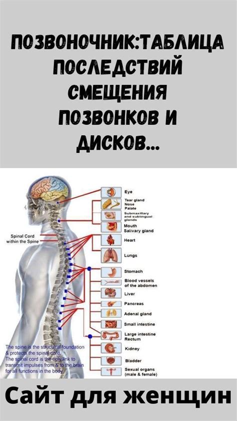 Роль смещения позвонков
