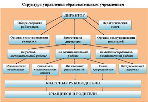 Роль тьюторов в образовательной системе