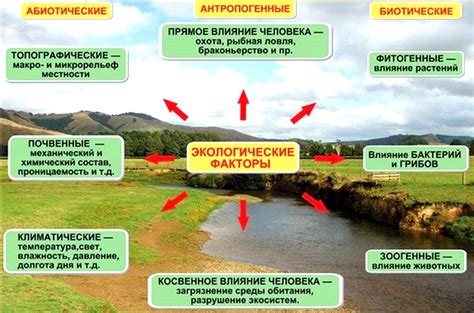 Роль уксуса в создании кислой среды