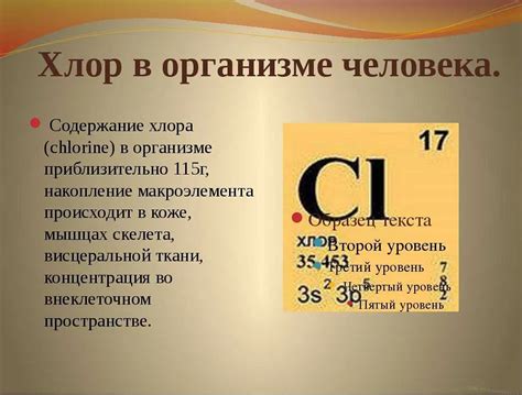 Роль хлора в обеспечении безопасности водных процедур