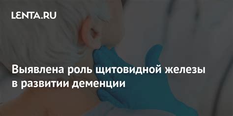 Роль щитовидной железы в развитии плода