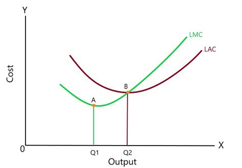 Роль Lac в диагностике LMC