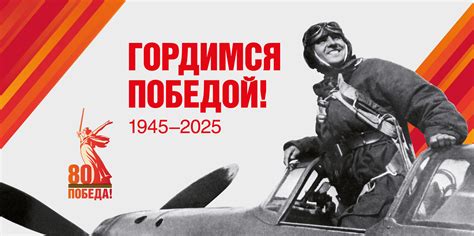 Ромашки в день победы