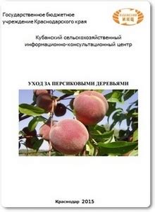 Рост и уход за персиковыми деревьями на Урале