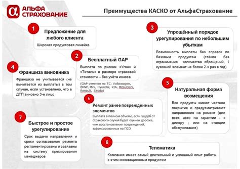 Руководство и условия