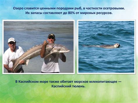 Рыбаки настоящих морей