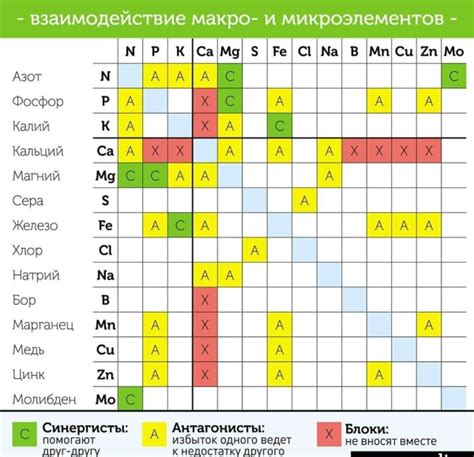 Рыба и яйцо: совместимость и сочетание в блюдах