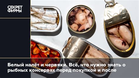 Рыбные консервы: их важность для здоровья