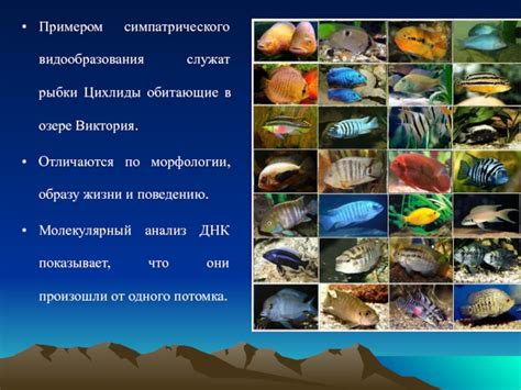 Рыбы, обитающие в озере Виктория