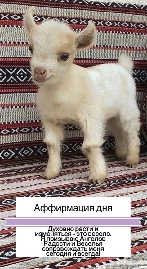 Самоанализ и понимание себя