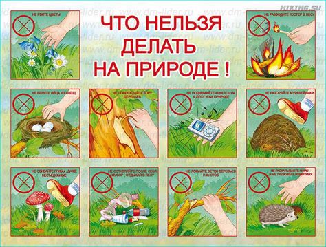 Самолеты сегодня: безопасное летание и основные меры безопасности