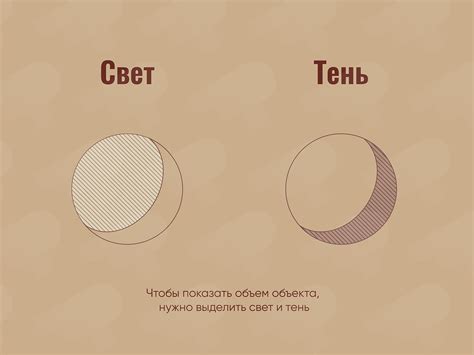 Свет и тень
