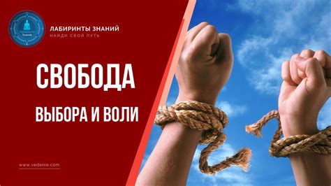 Свобода выбора и эксперименты