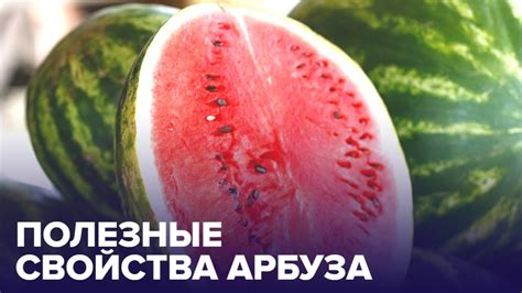 Свойства арбуза, способствующие снижению веса