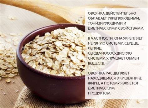 Свойства овсянки, влияющие на организм