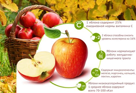 Свойства яблок и их полезность