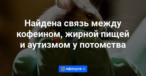 Связь между пищей и поведением