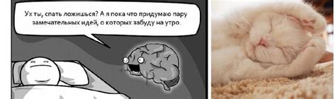 Связь между сновидениями
