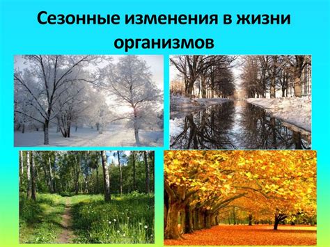 Сезонные факторы в нашей жизни