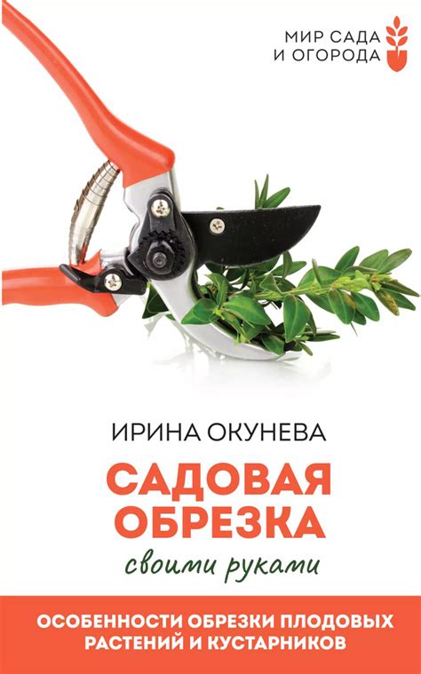 Сезон и сроки: важные особенности