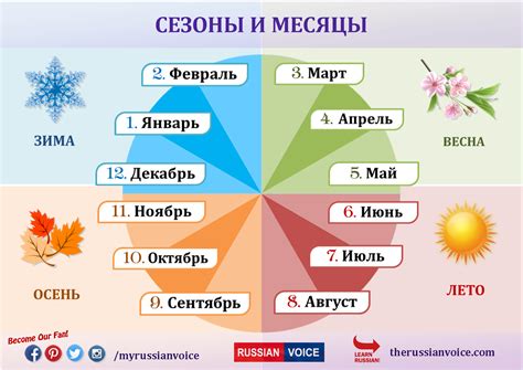 Сезон цветения и лучшие месяцы для посещения
