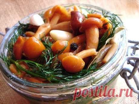 Секреты вкусной заготовки грибов на зиму с уксусом
