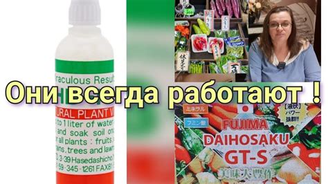 Секреты сохранения эффективности