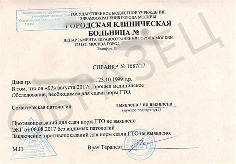 Секреты успешного прохождения нормативов ГТО без подготовки