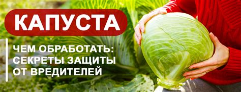 Секреты эффективной защиты