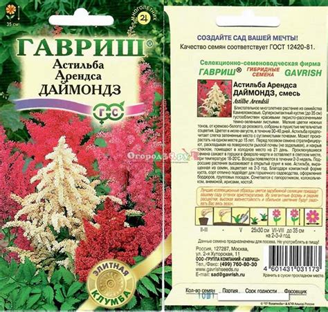 Семена астильбы: выбор и приготовление