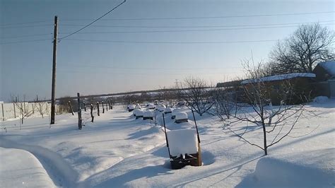 Середина января 2022
