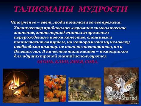 Символическое значение плевка во сне