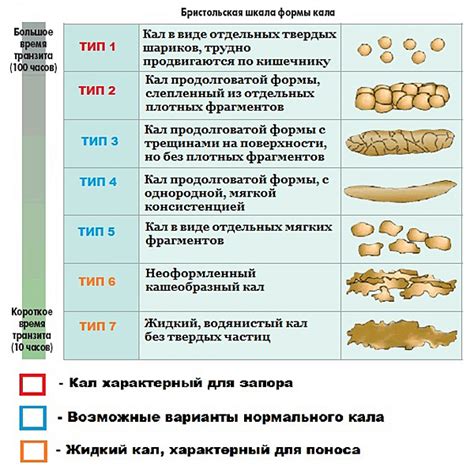 Симптомы жидкого стула у взрослых
