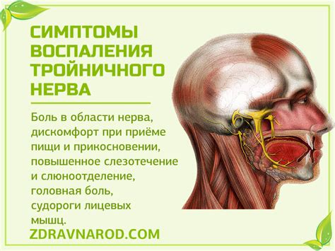 Симптомы застуды тройничного нерва