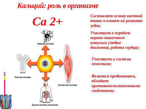 Симптомы нехватки кальция