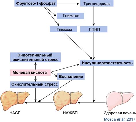 Симптомы повышенного содержания мочевой кислоты