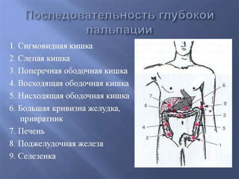 Симптомы схваток в нижней части живота